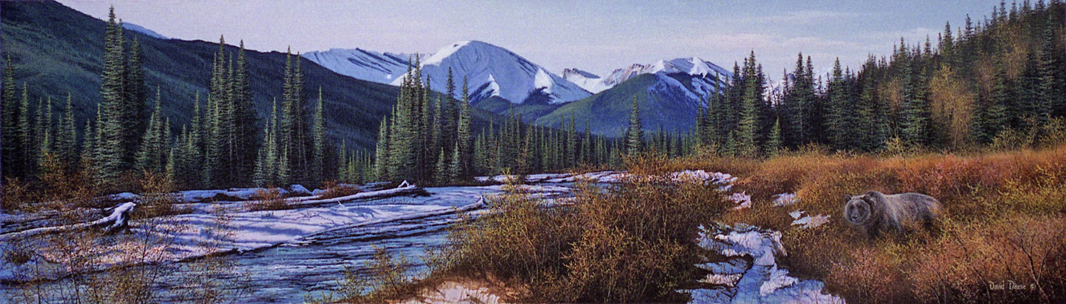 David Daase Dormer River Grizzly
